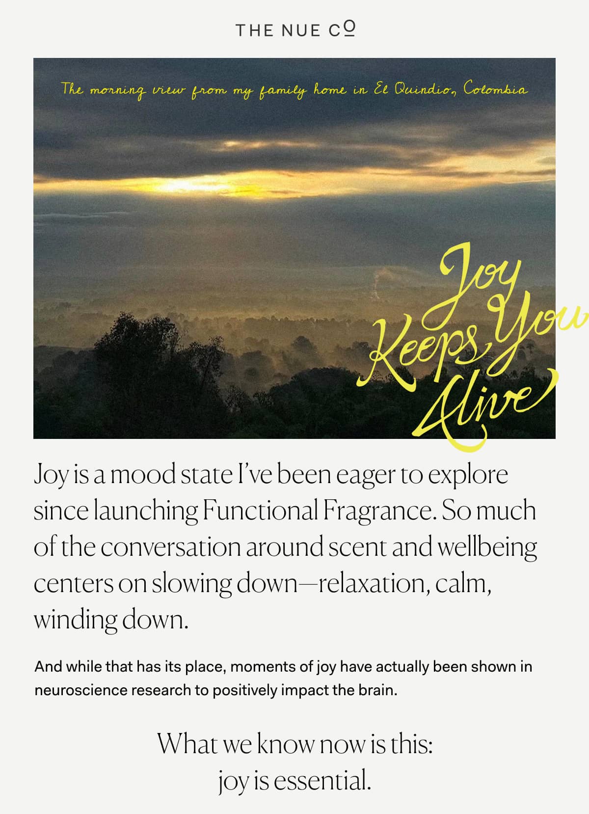 Joy is a mood state I’ve been eager to explore since launching Functional Fragrance. So much of the conversation around scent and wellbeing centers on slowing down—relaxation, calm, winding down. | And while that has its place, moments of joy have actually been shown in neuroscience research to positively impact the brain. | What we know now is this: joy is essential.