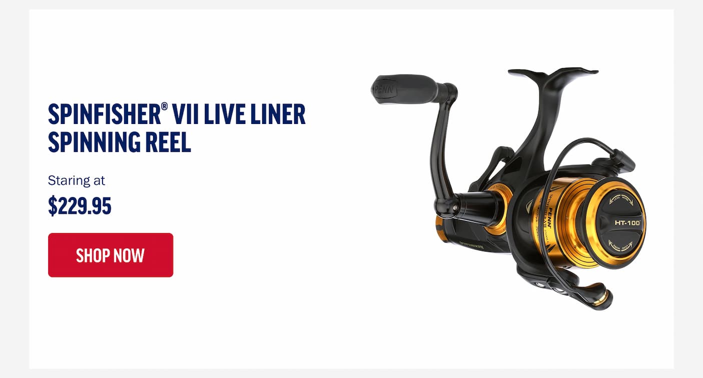 Spinfisher VII Live Liner Spinning Reel