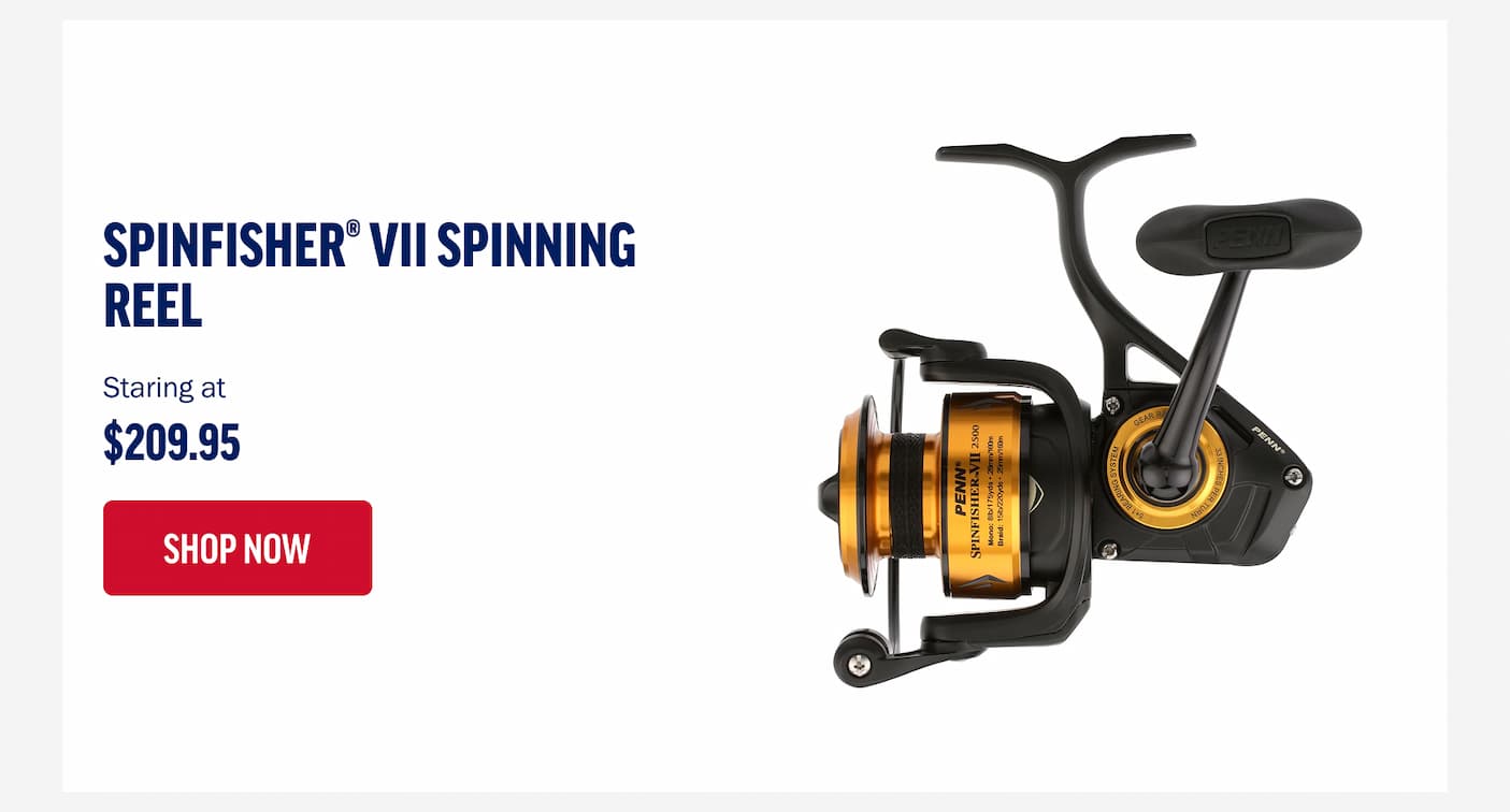 Spinfisher VII Spinning Reel