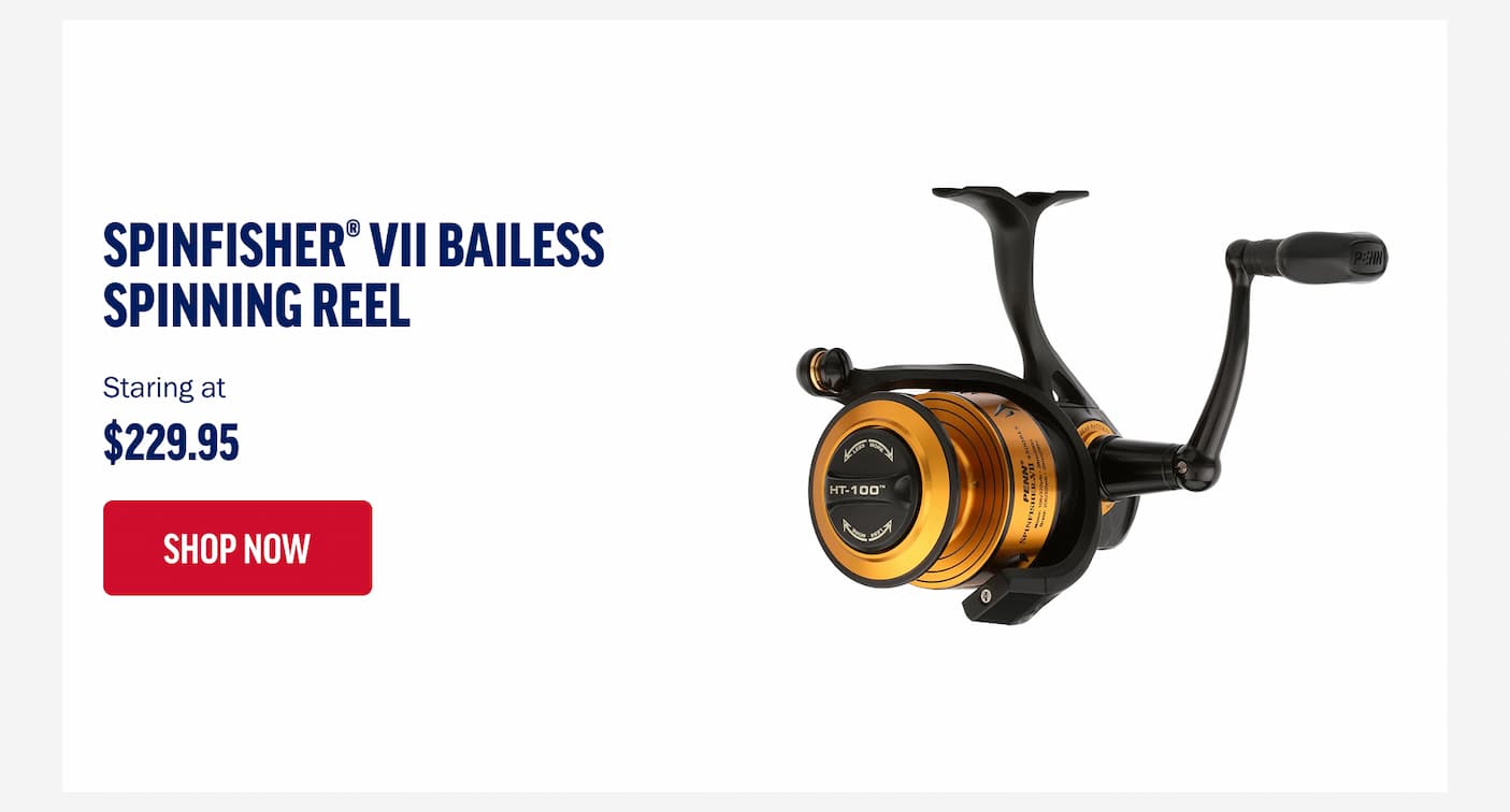 Spinfisher VII Bailess Spinning Reel