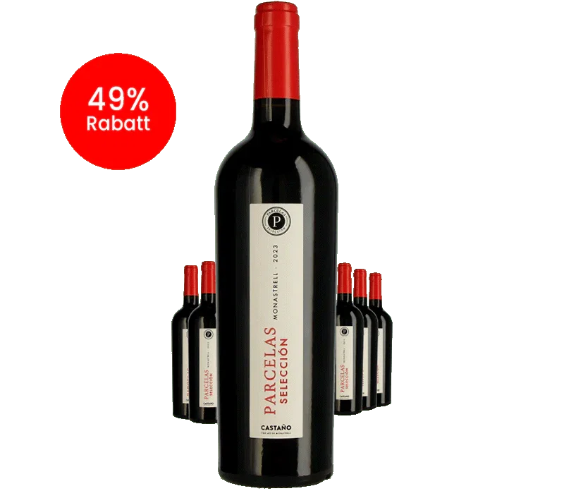 Paket 6 Flaschen Castano Parcelas - BIO