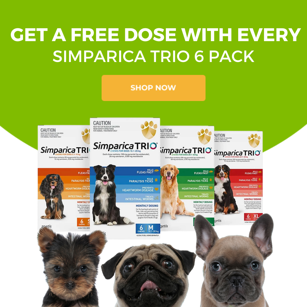 SImparica Trio free offer