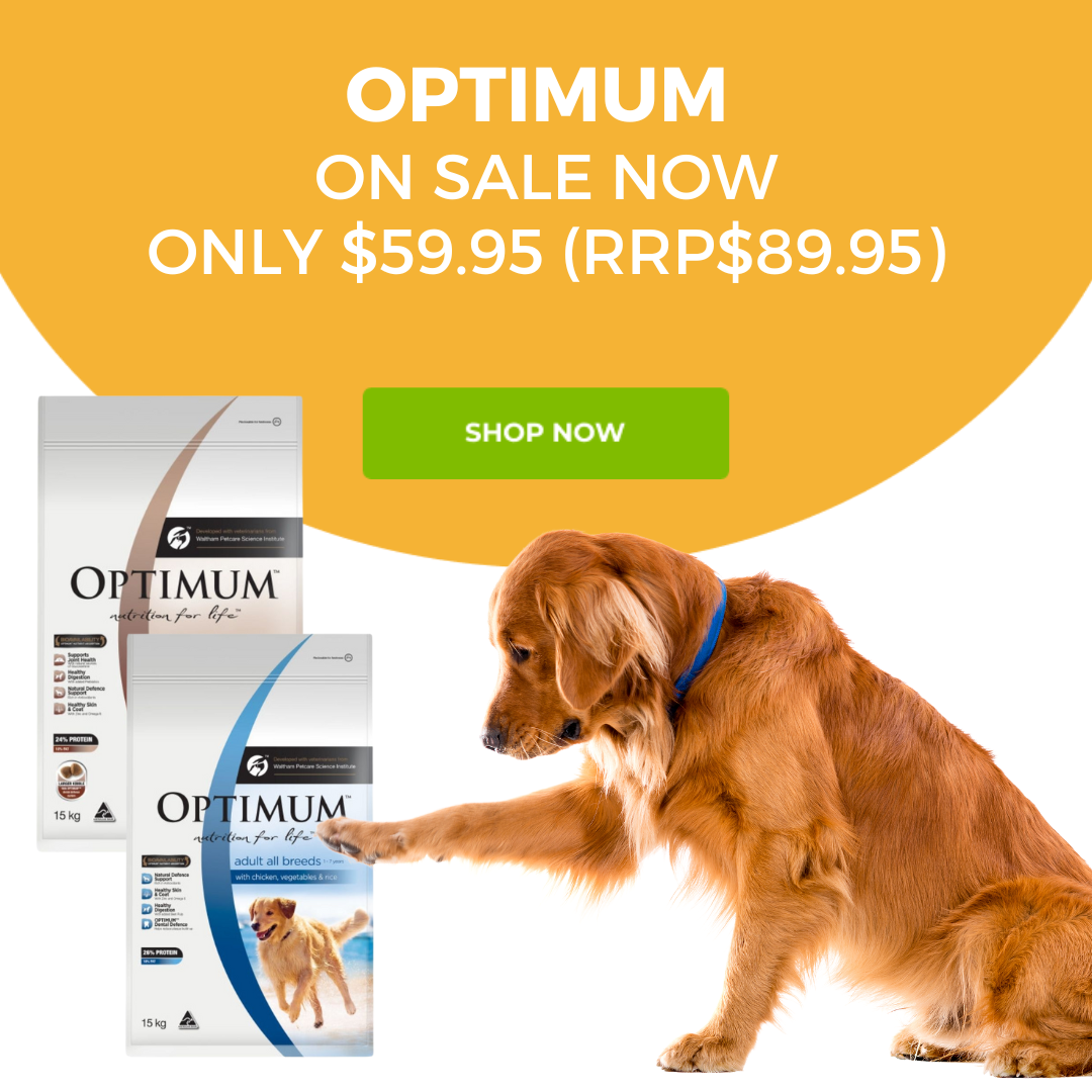 Optimum on sale