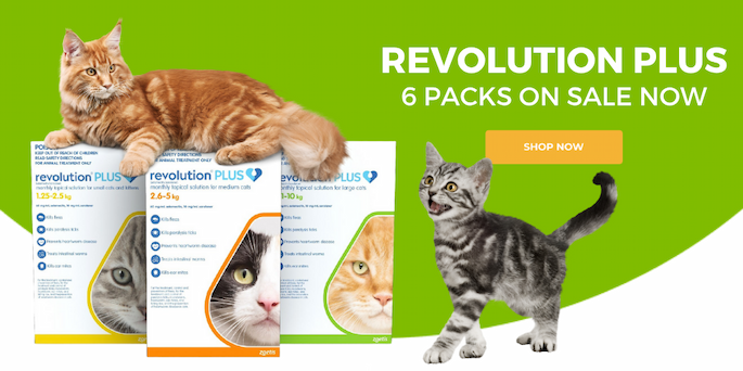 Revolution Plus on sale