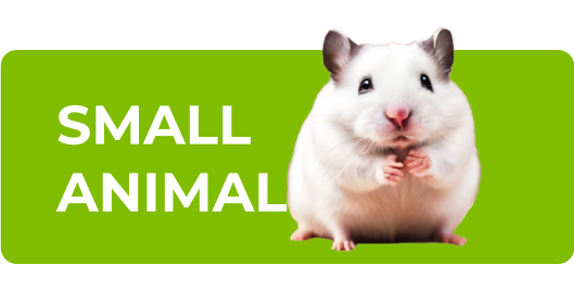 Shop small animal