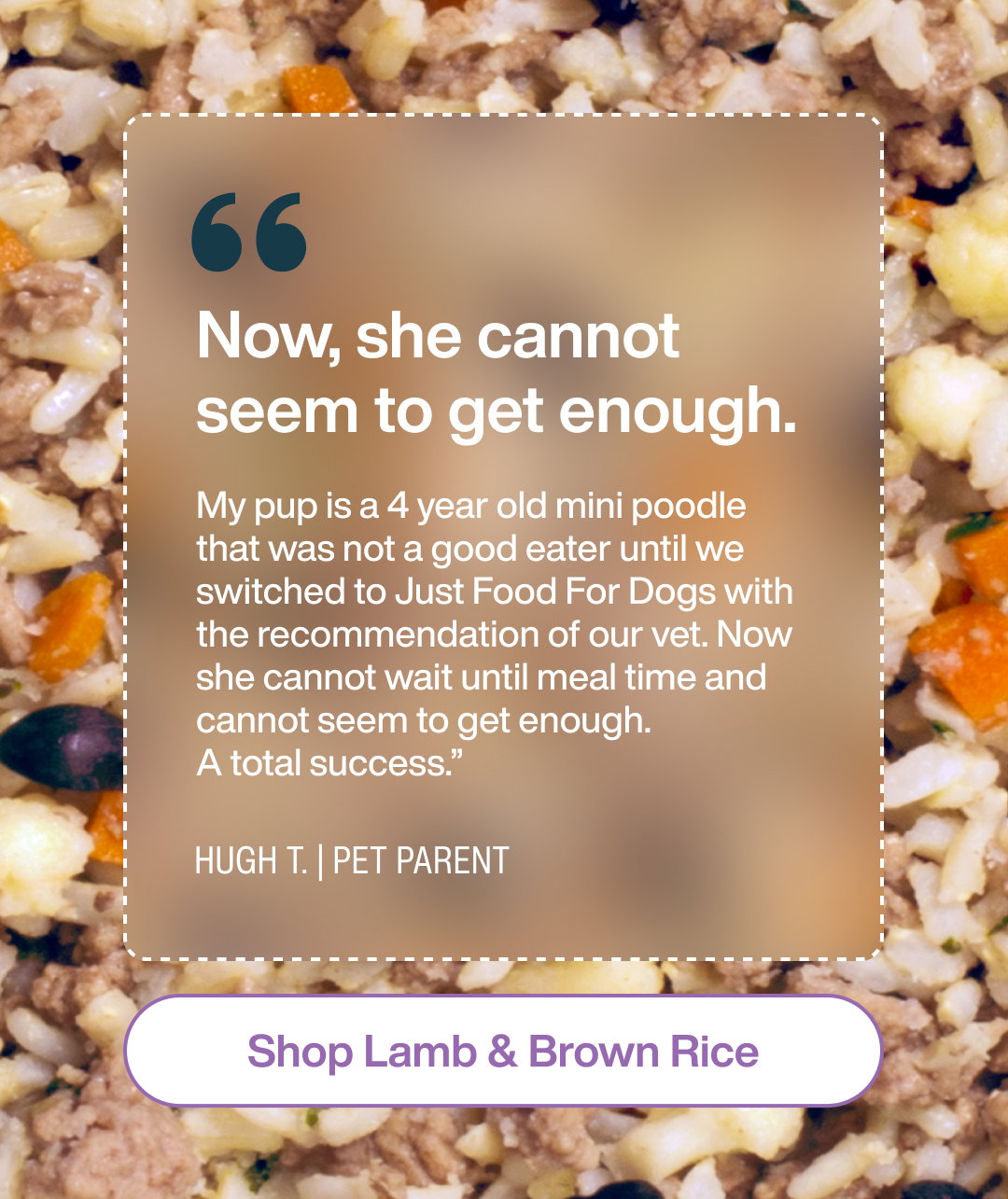 Shop Lamb & Brown Rice
