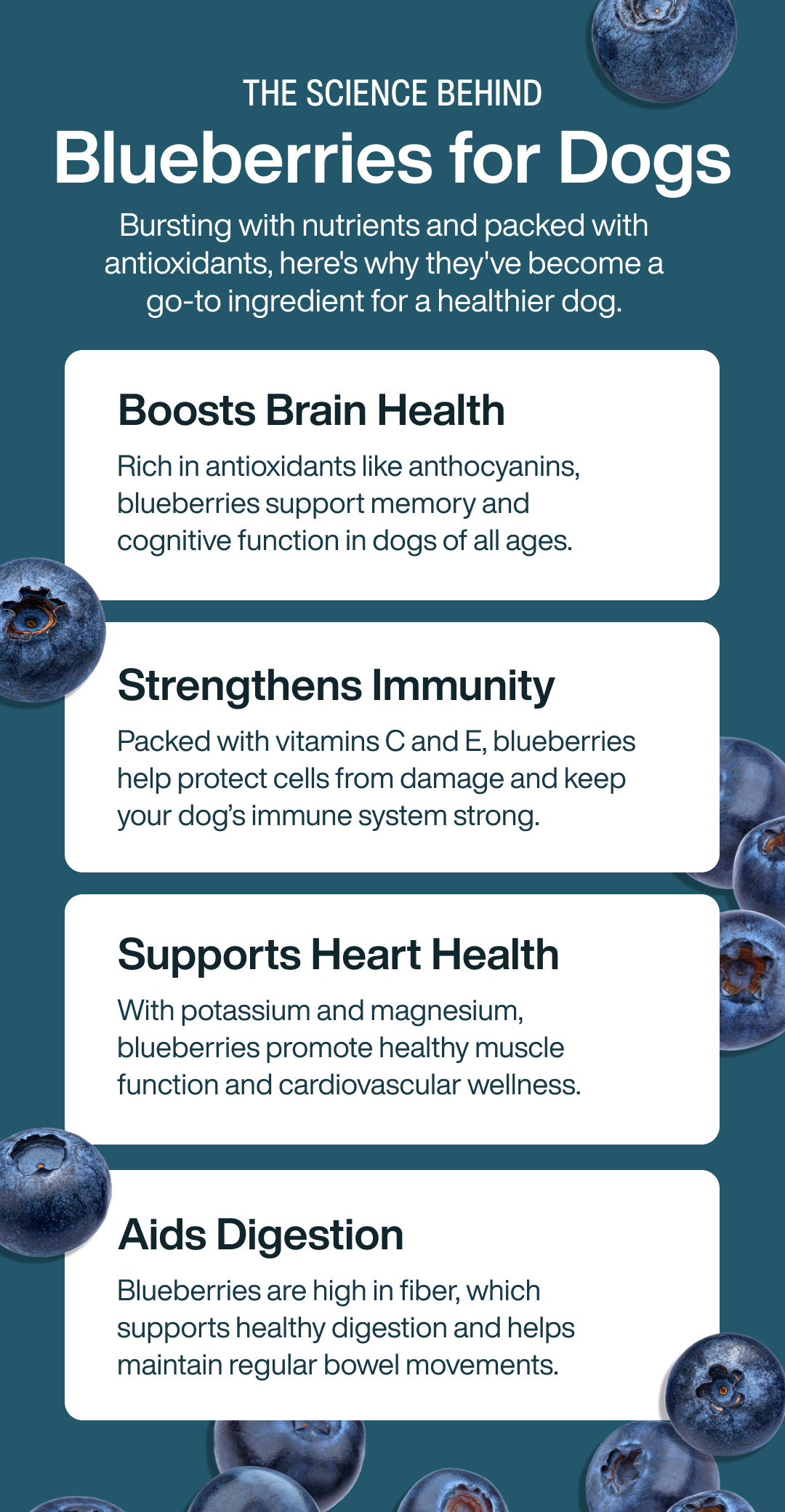 Blueberries