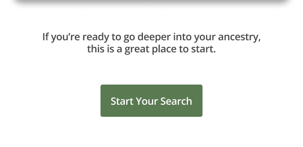 Start Your Search
