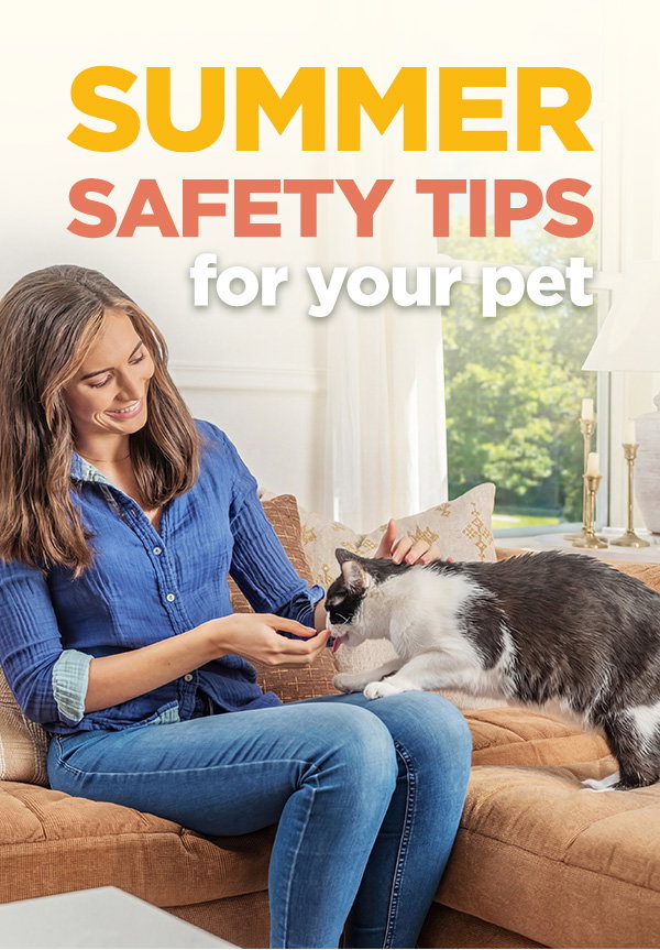 Summer Safety Tips for your pets