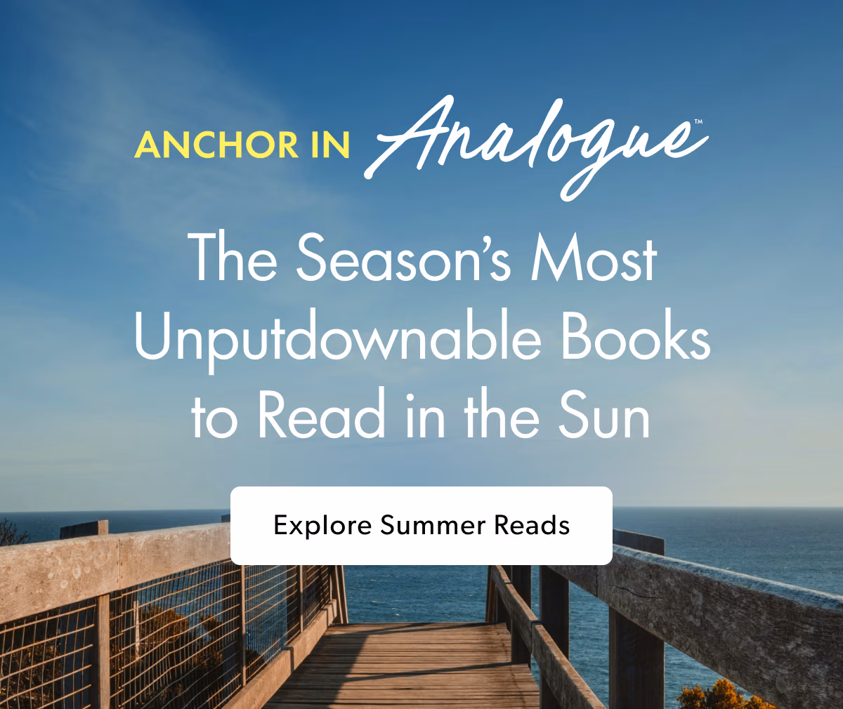 The Season's Most Unputdownable Books to Read in the Sun