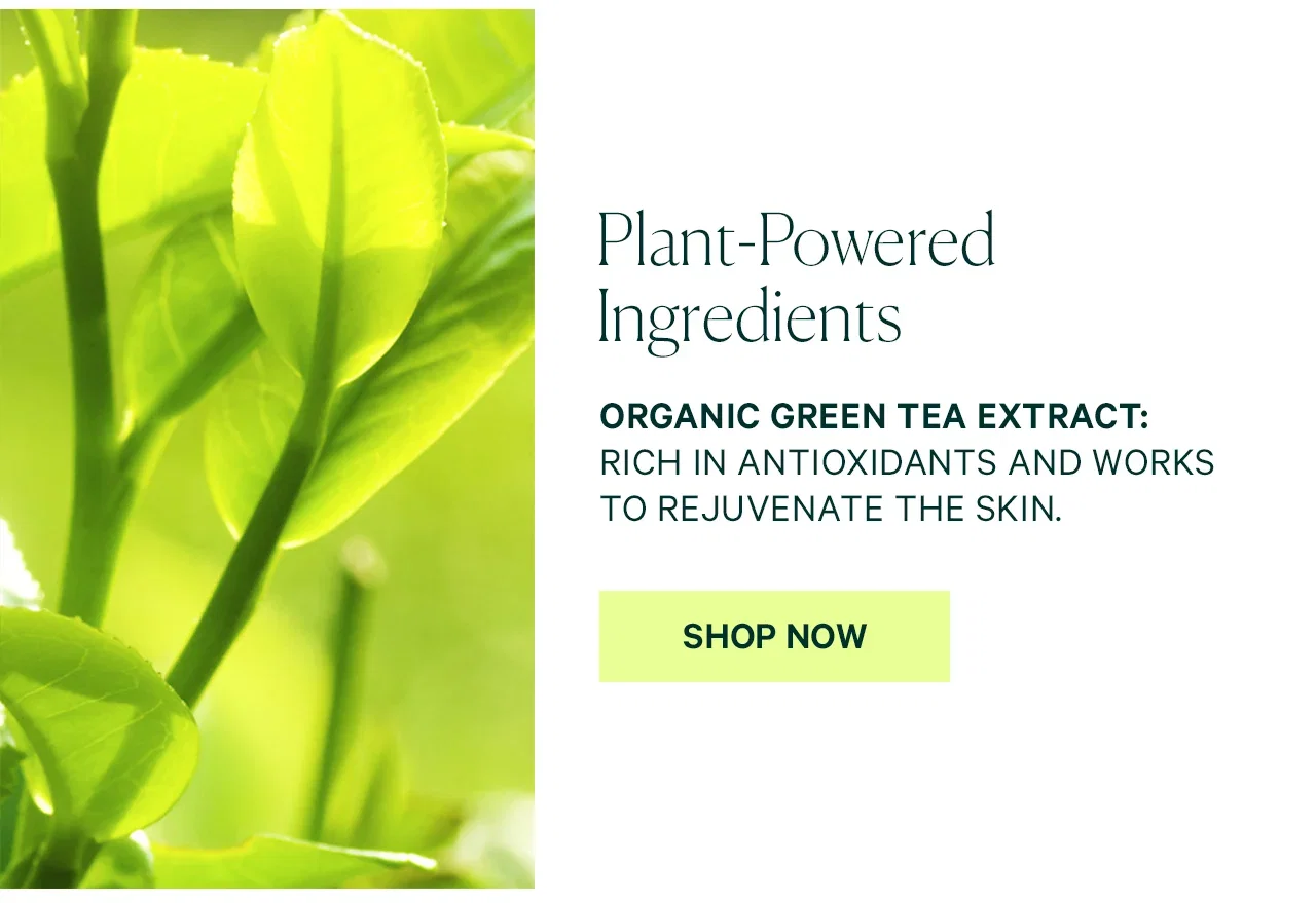 Plant-Powered Ingredients
