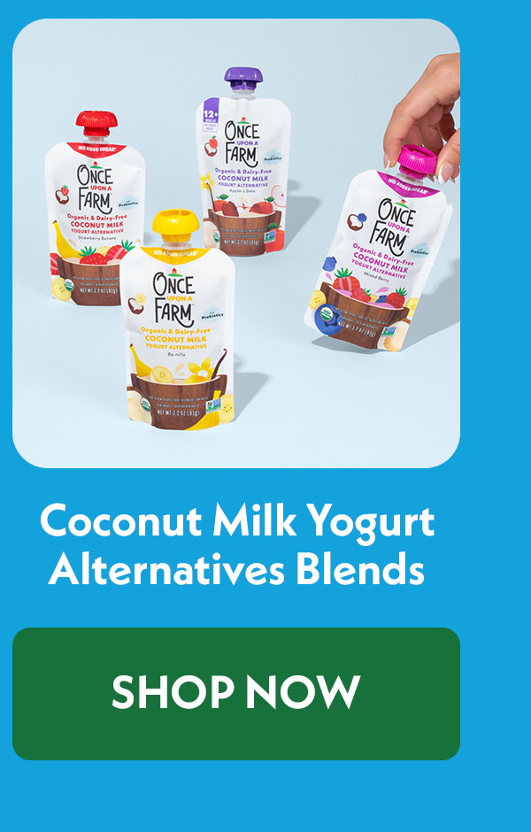 Coconut Milk Yogurt Alternative