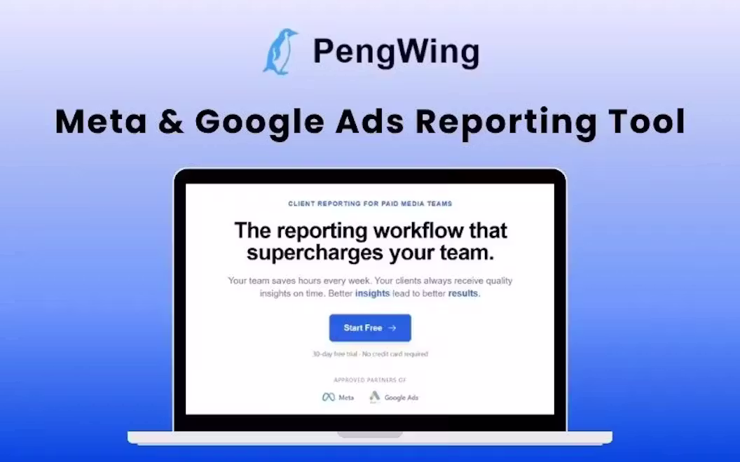 PengWing – Automate Your Meta & Google Ads Reporting in Minutes
