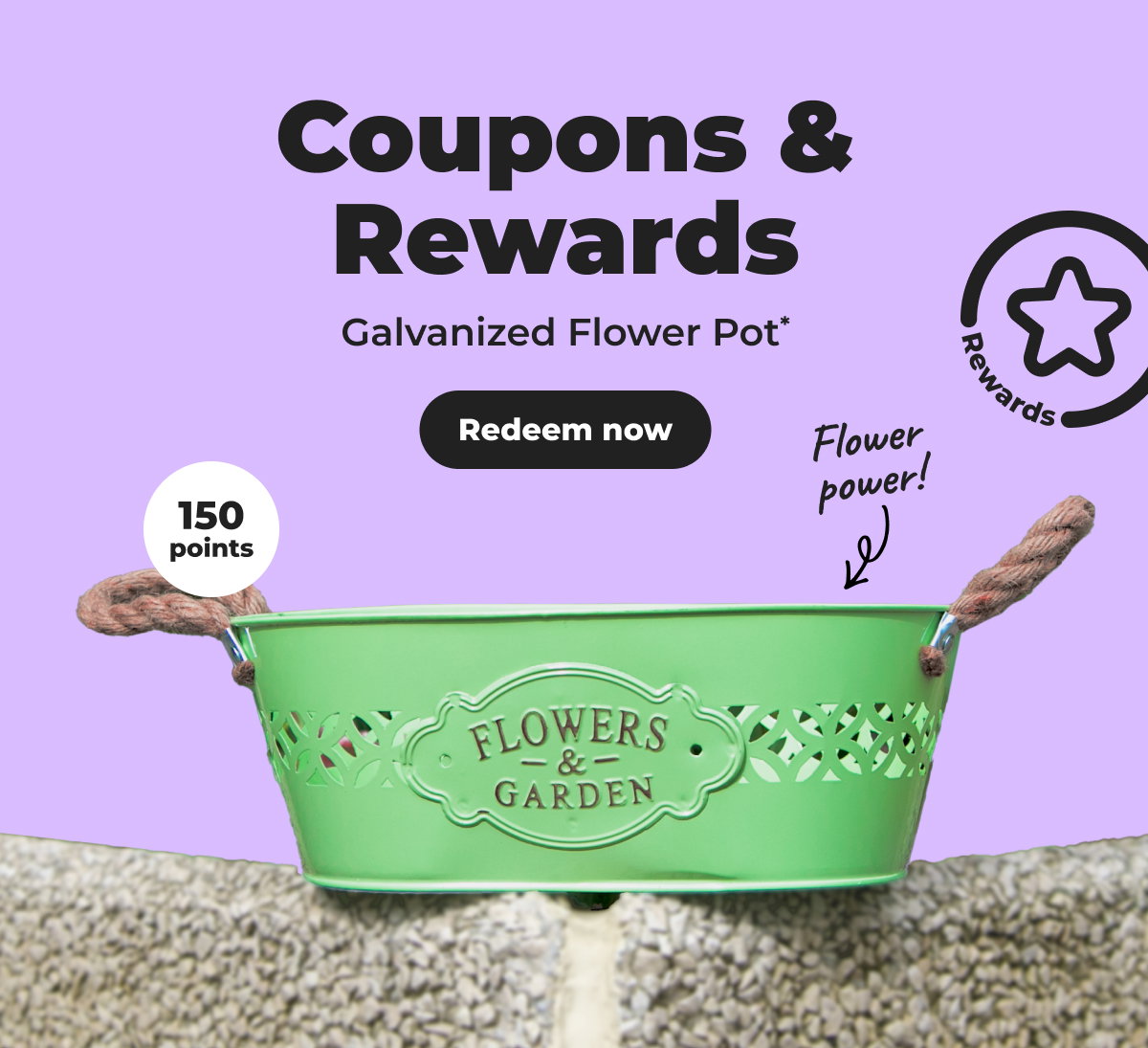 Galvanized Flower Pot* - Redeem now 