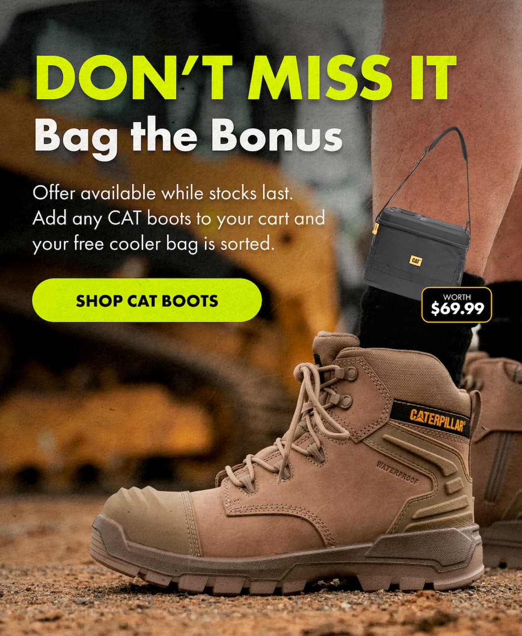 DON'T MISS IT BAG THE BONUS | SHOP CAT BOOTS 