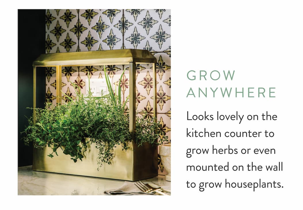 Grow Anywhere: Looks lovely on the kitchen counter to grow herbs or even mounted on the wall to grow houseplants.