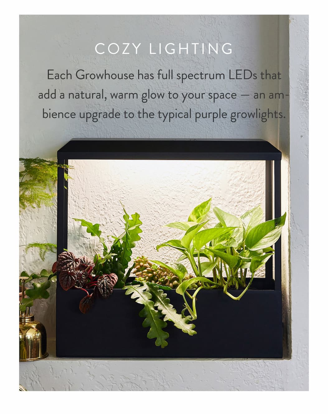 Cozy Lighting: Each Growhouse has full spectrum LEDs thatadd a natural, warm glow to your space — an am- bience upgrade to the typical purple growlights. 