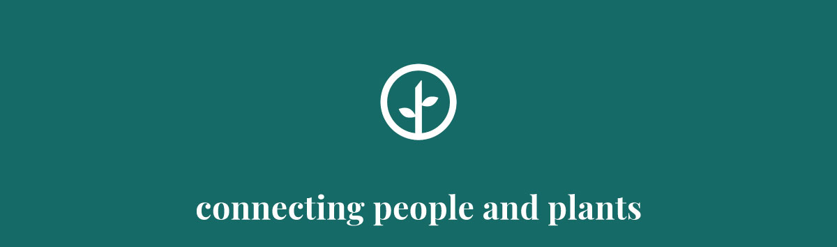 Visit Our Site