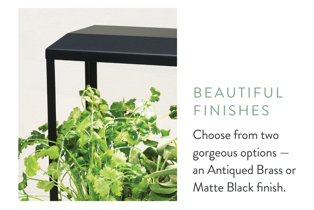 Beautiful Finishes: Choose from two gorgeous options — an Antiqued Brass or Matte Black finish.