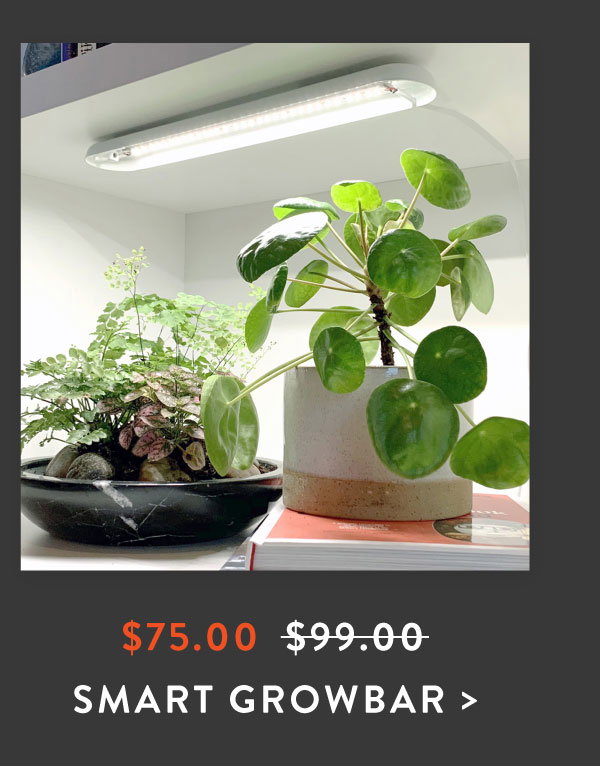 SHOP GROWBAR >