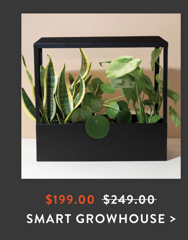 SHOP GROWHOUSE >