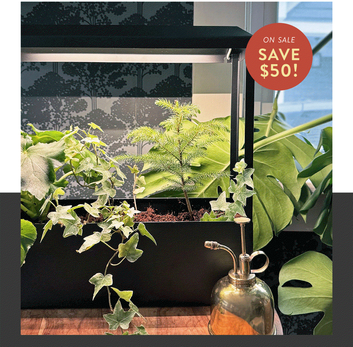 On Sale: Our Victorian terrarium inspired Growhousesare a showpiece for your plants and your design sense — and, they’re at a new lower price! SHOP NOW AND SAVE $50! >