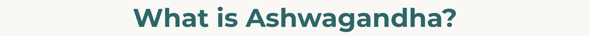 What is Ashwagandha