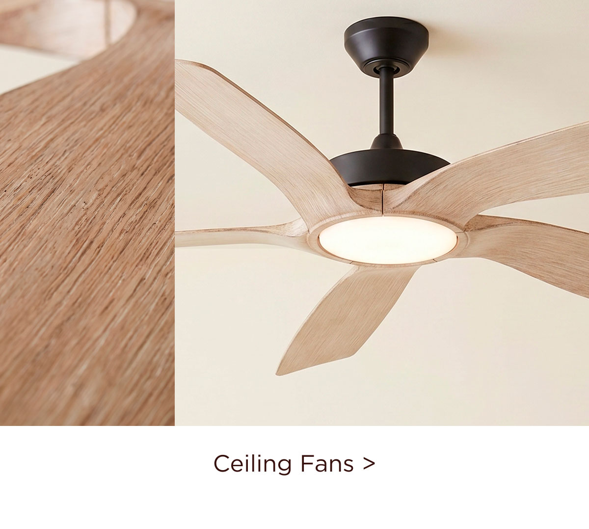 Ceiling Fans >