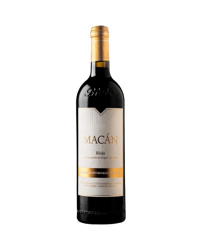 Macan Oro 2021