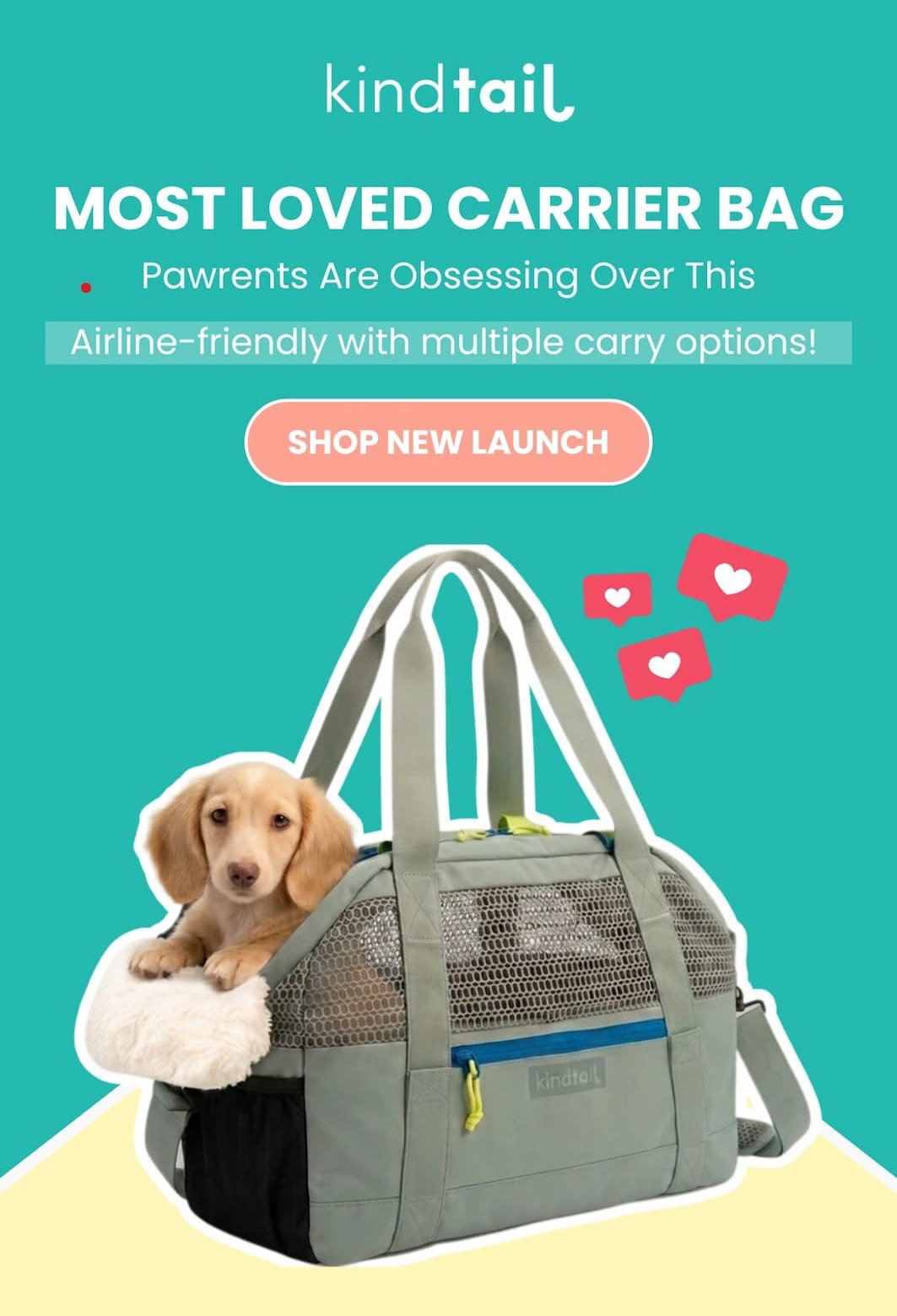  Most Loved Carrier Bag Pawrents Are Obsessing Over This  Airline-friendly with multiple carry options! 