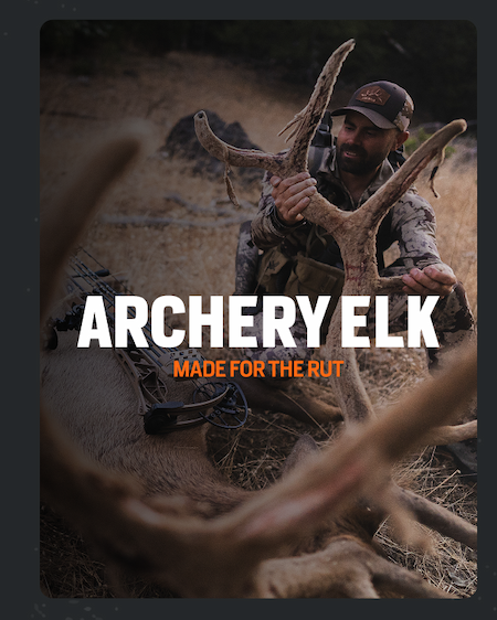 Archery Elk