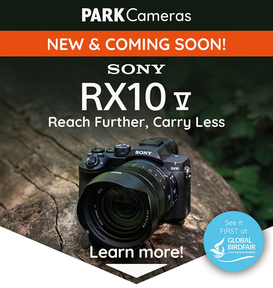 Sony RX10 V Launch Header