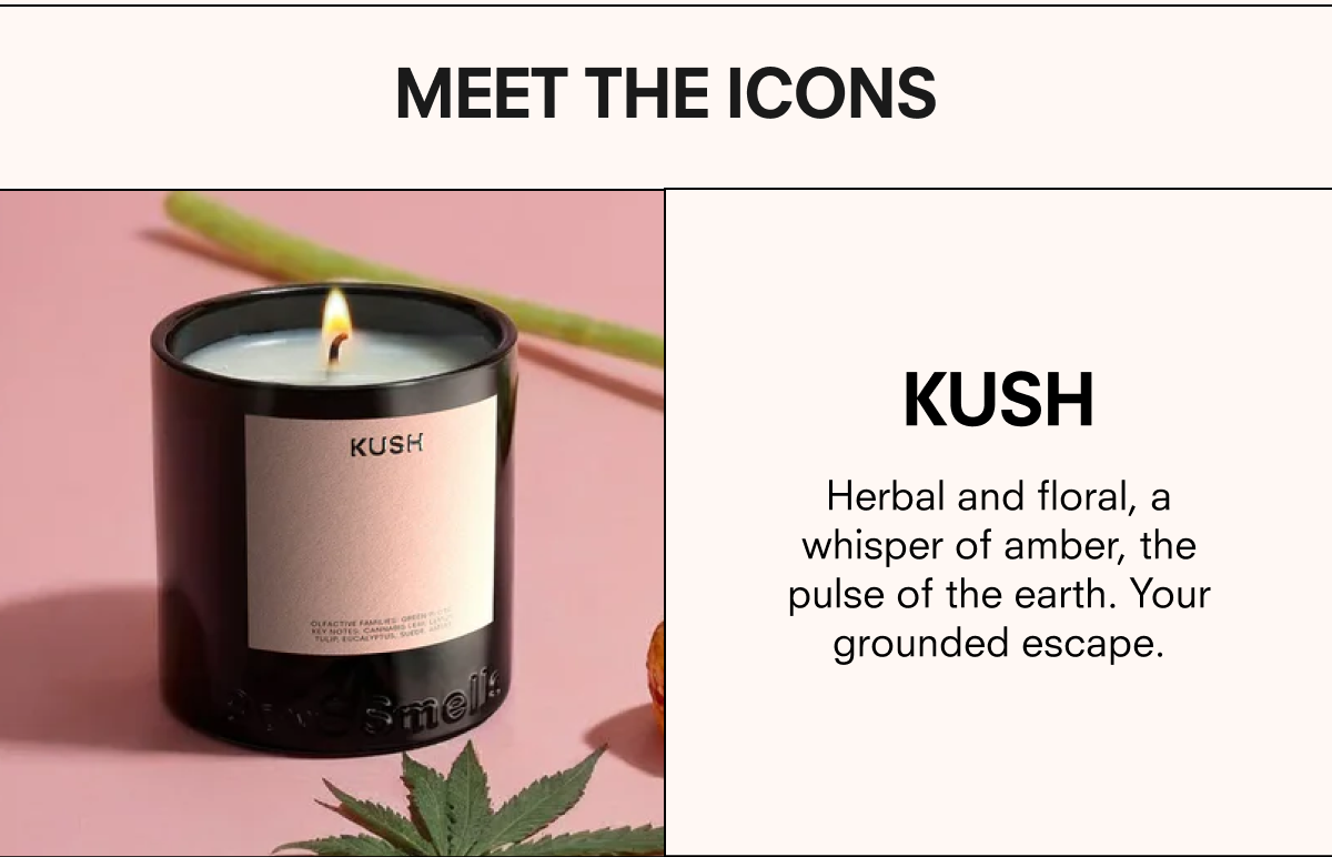 Shop Coco Cream