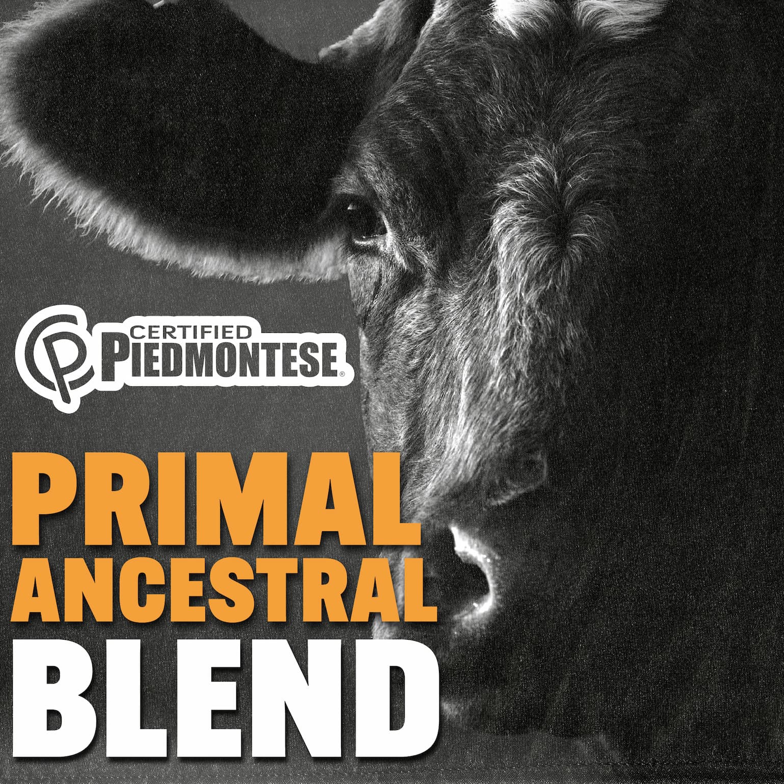 Ancestral Blend