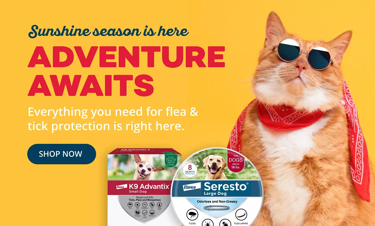 70926_NewAppSummerPetCare_FleaTick