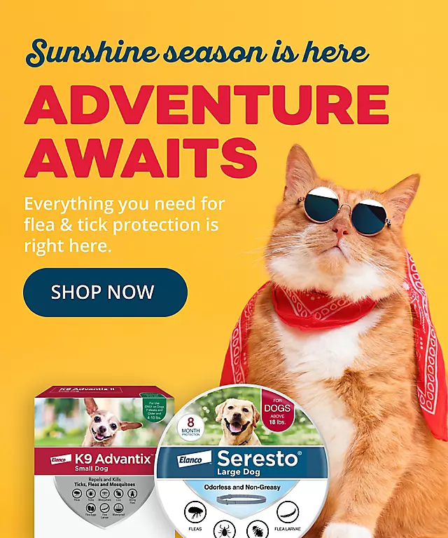 70926_NewAppSummerPetCare_FleaTick