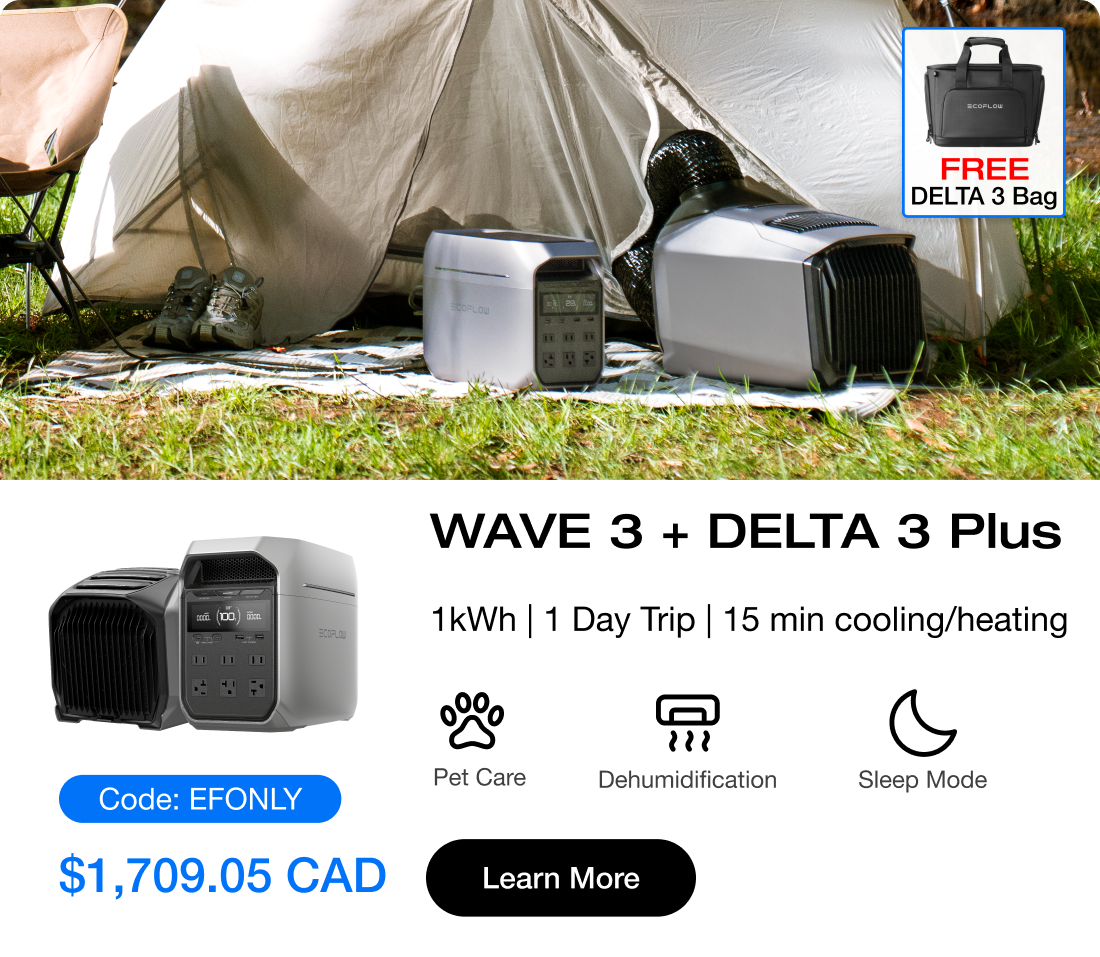 WAVE 3 + DELTA 3 Plus 1kWh | 1 Day Trip | 15 min cooling/heating