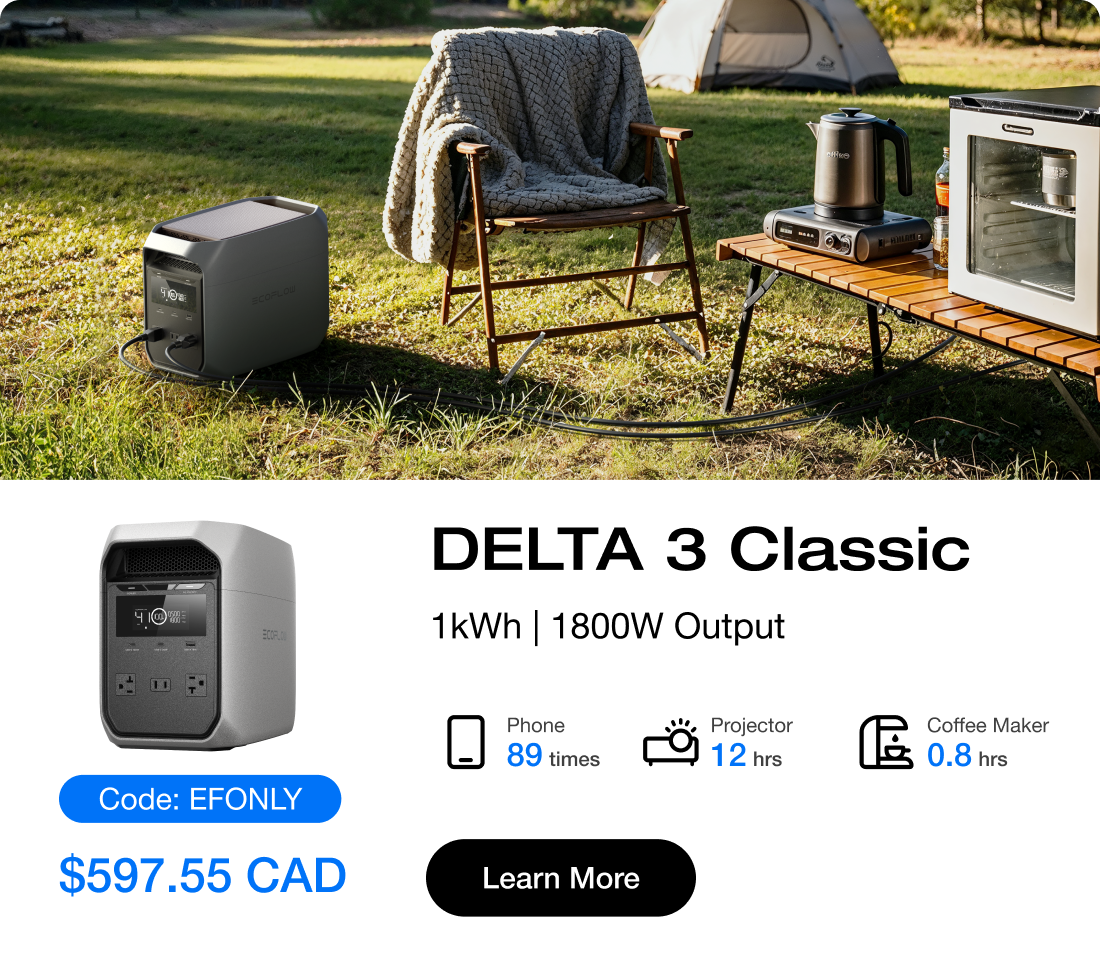 DELTA 3 Classic 1kWh | 1800W Output