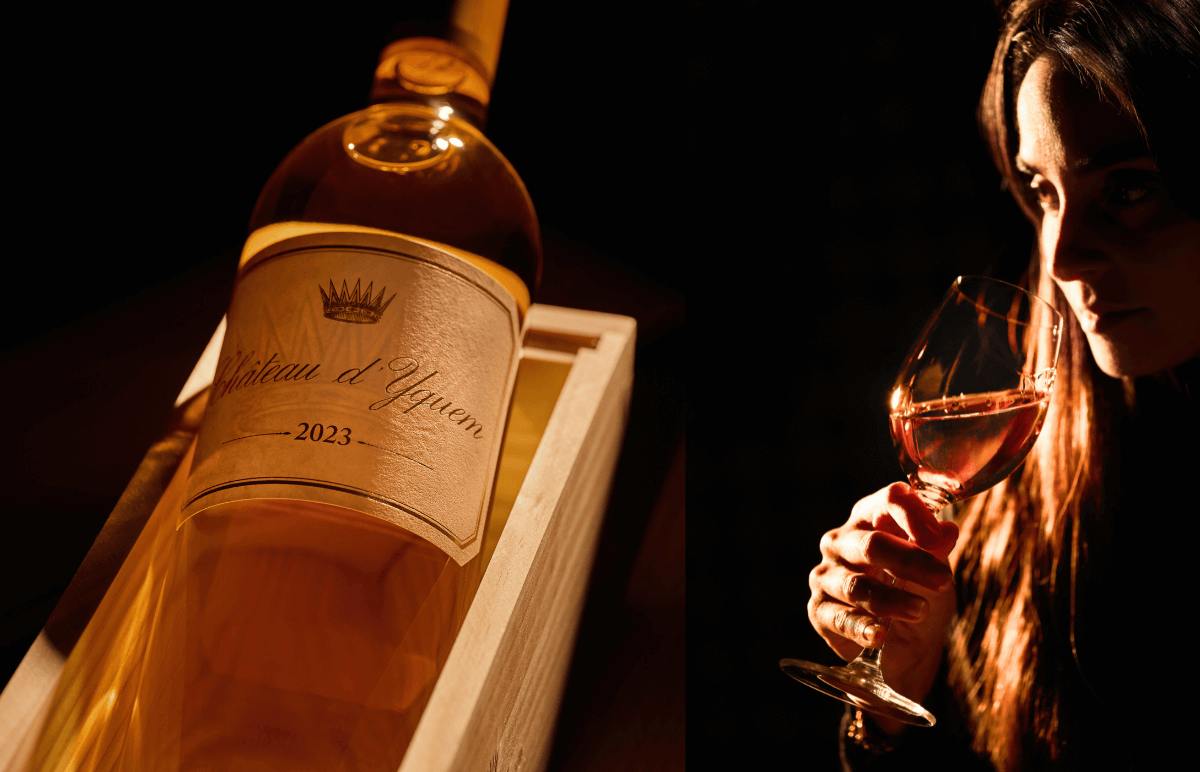 CHÂTEAU D'YQUEM 2023
