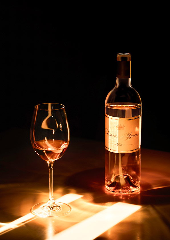 CHÂTEAU D'YQUEM 2023
