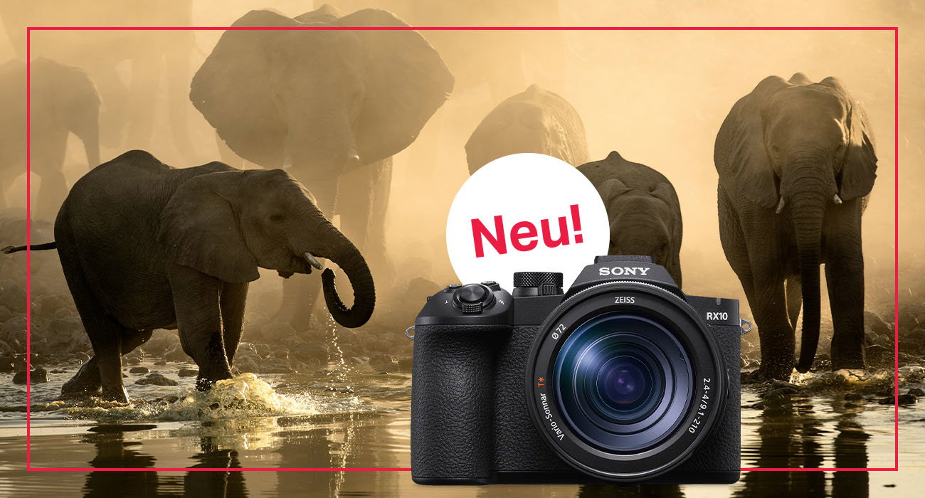Sony RX10 V