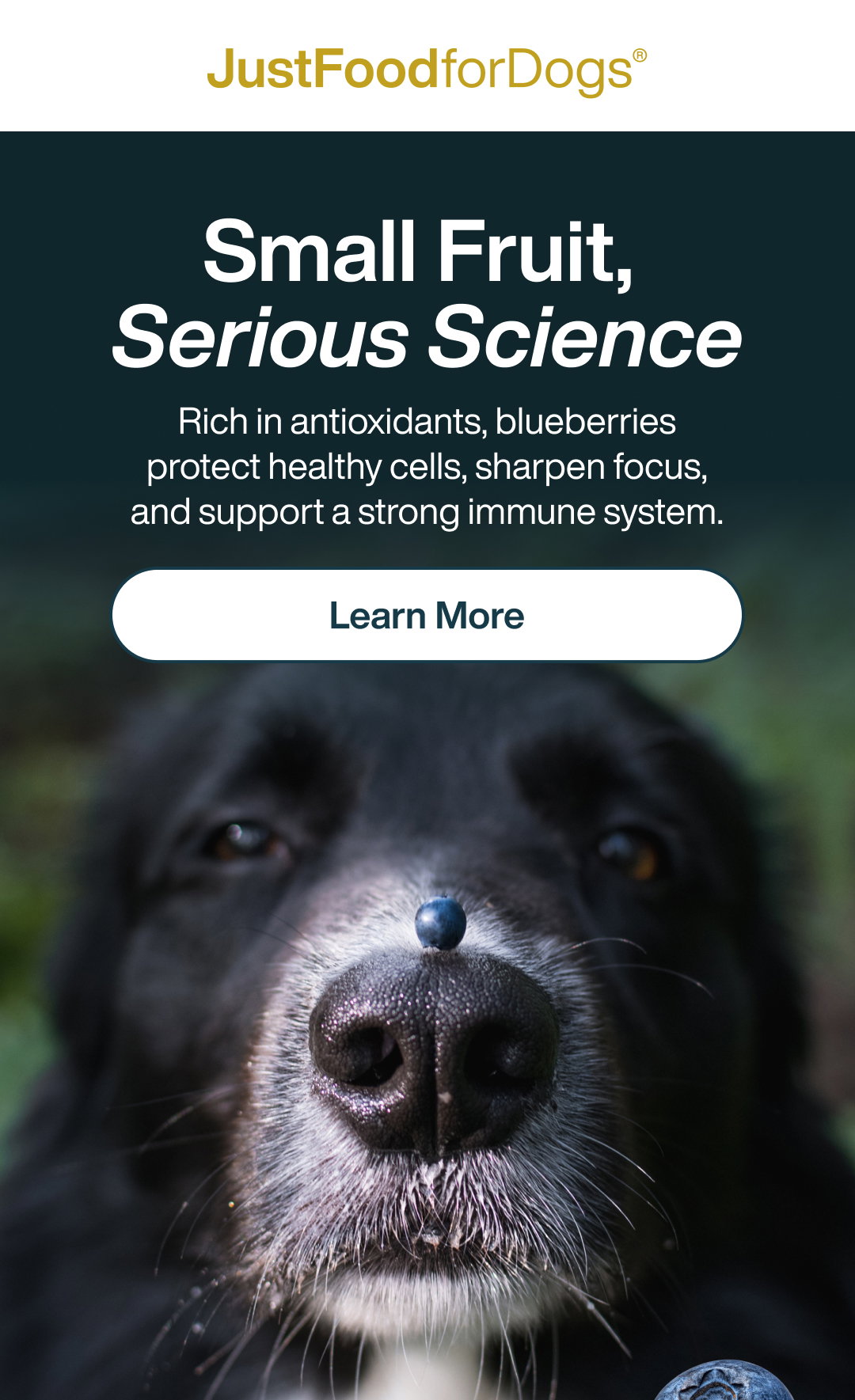 Learn more