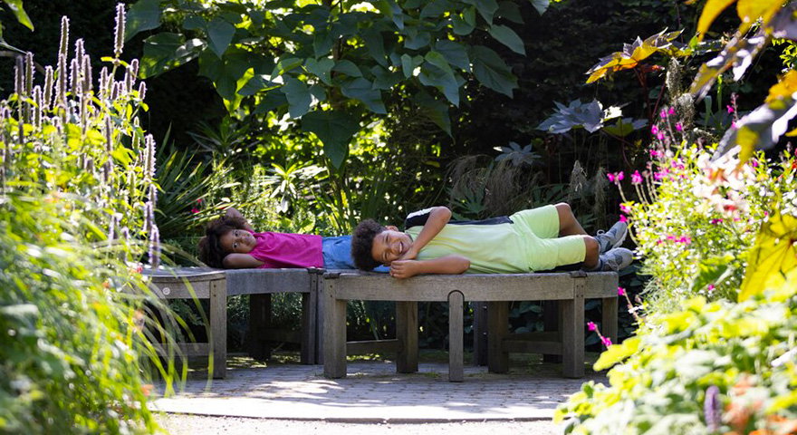 Your gardening update from the RHS
