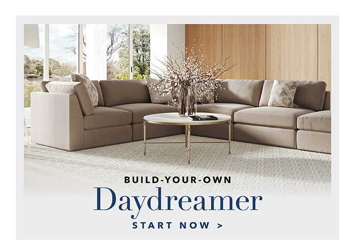 Build-your-own DAYDREAMER >