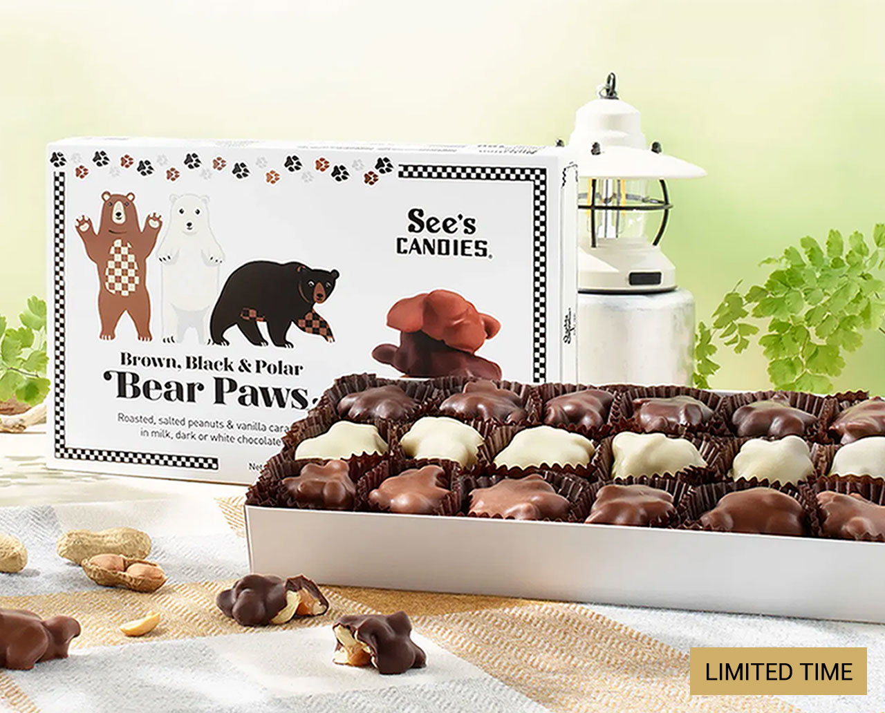 Limited Time: Black, Brown and Polar Bear Paws®