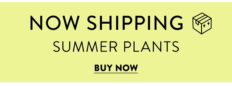 Summer Shipping Plants
