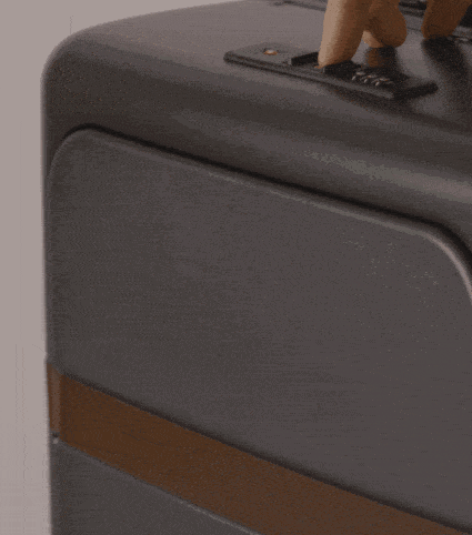 <GIF showing the TSA push-lock access>