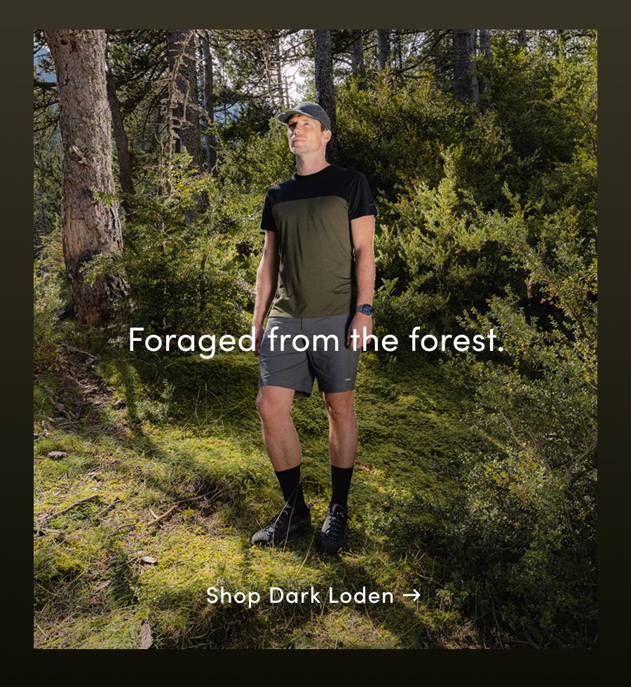 Foraged from the forest