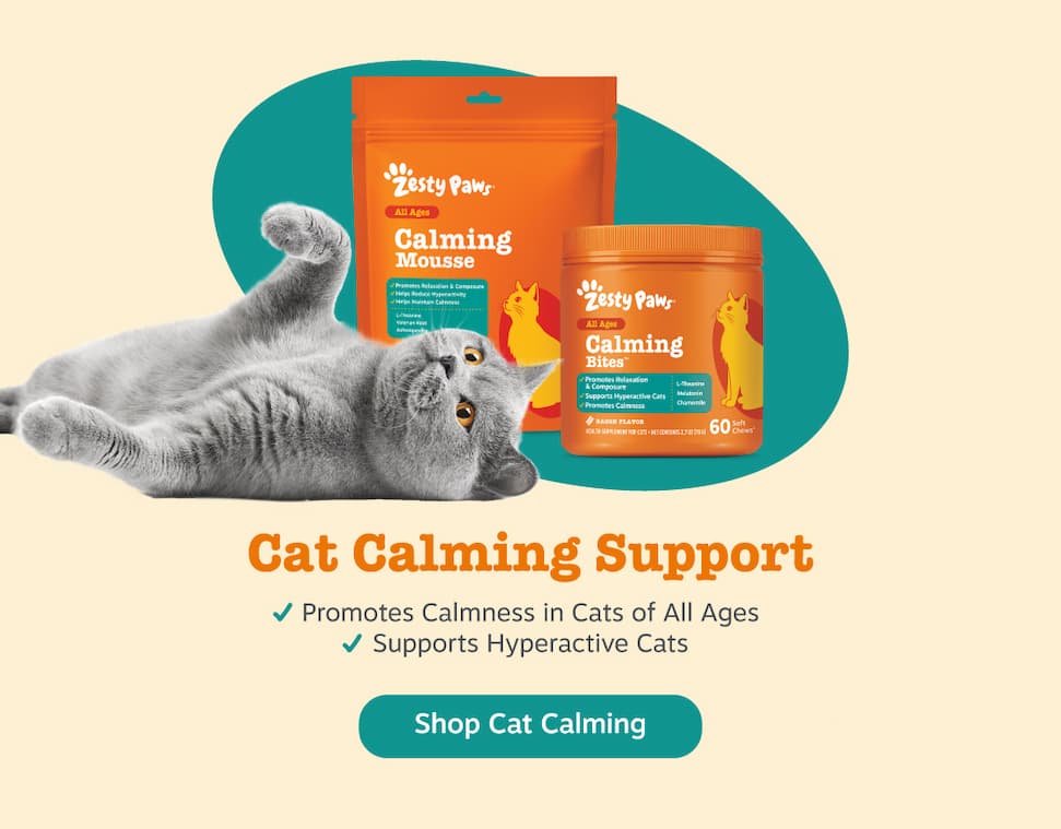 Cat Calming Support: 1) Promotes Calmness in Cats of All Ages 2) Supports Hyperactive Cats - Shop Cat Calming