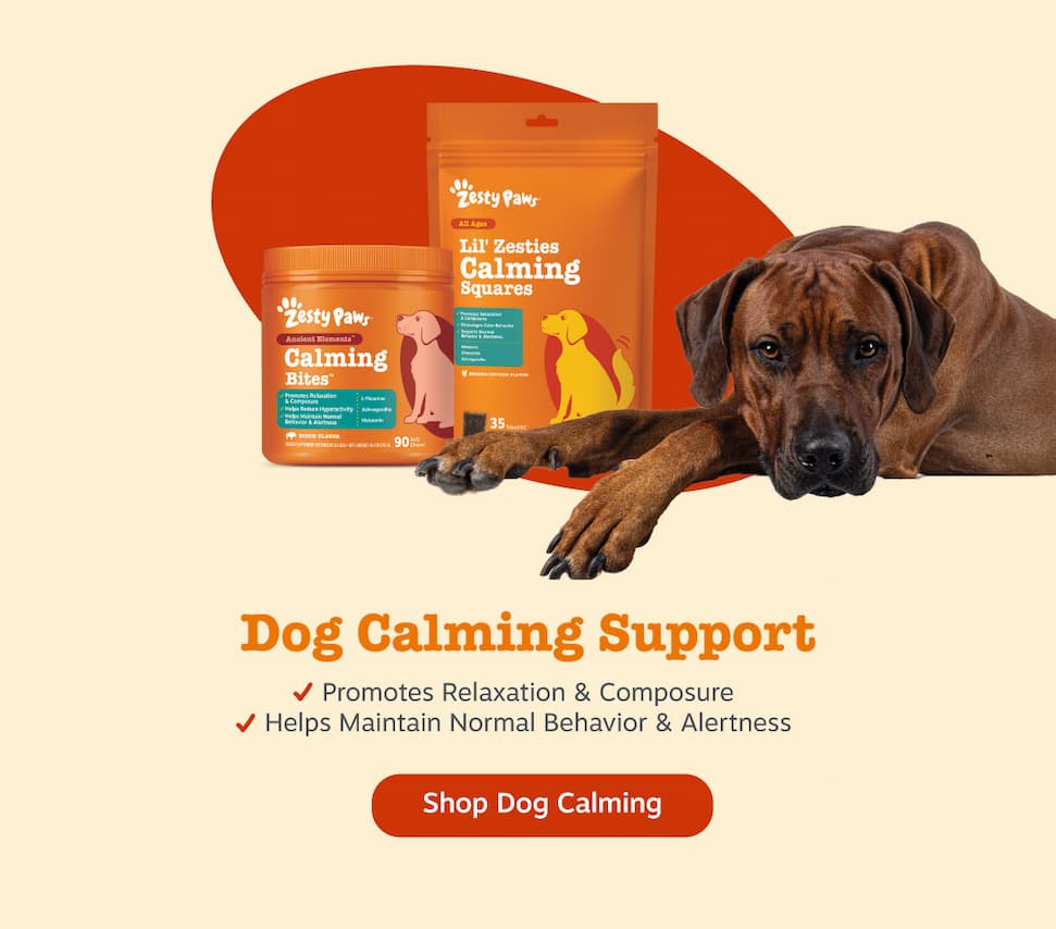 Dog Calming Support: 1) Promotes Relaxation & Composure 2) Helps Maintain Normal Behavior & Alertness - Shop Dog Calming